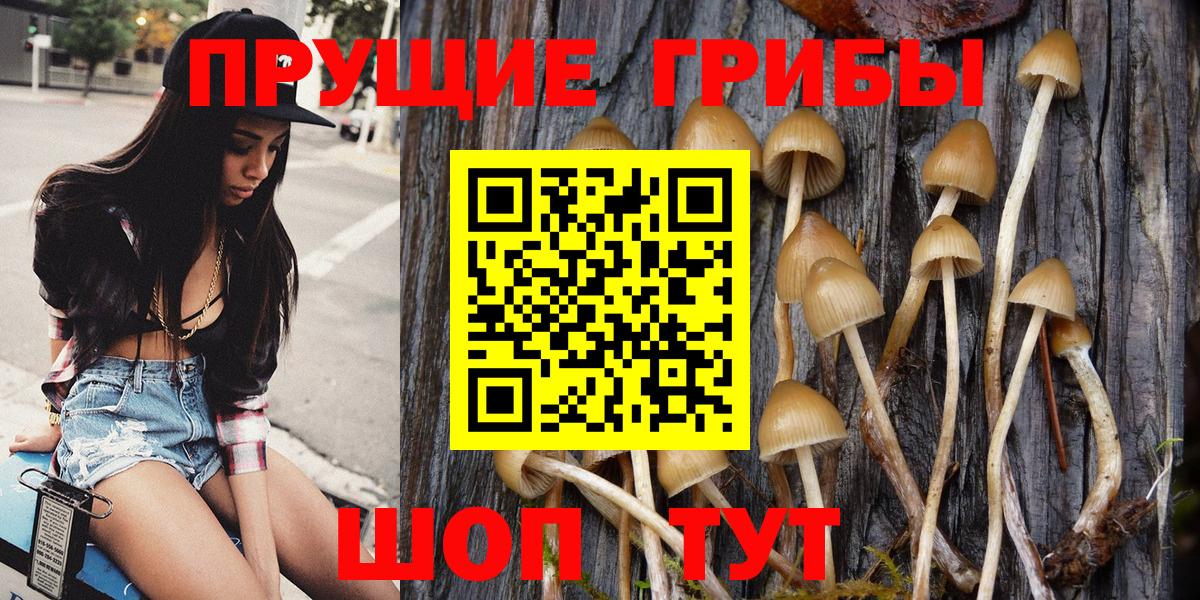Псилоцибиновые грибы Magic Shrooms  Вход с VPN  Каменск-Уральский 
