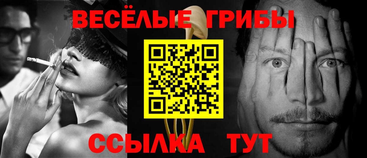 Галлюциногенные грибы GOLDEN TEACHER Каменск-Уральский